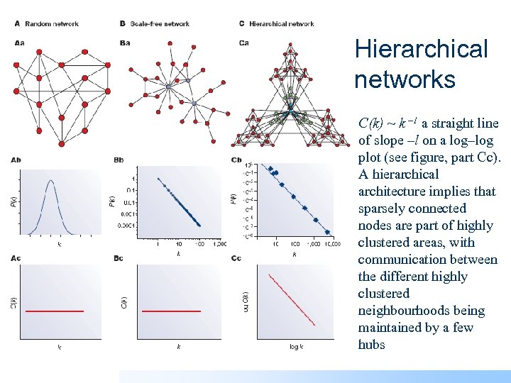 Hierarchical networks C(k) ~ k – 1 a straight line of slope –l on