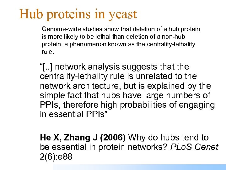 Hub proteins in yeast Genome-wide studies show that deletion of a hub protein is