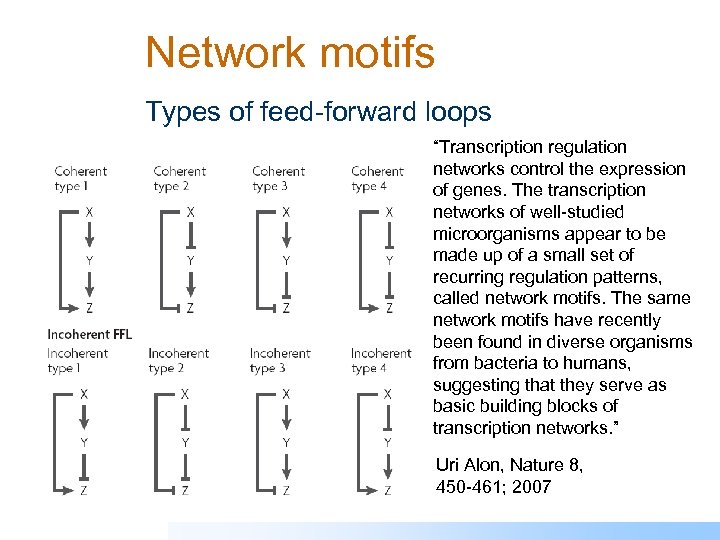 Network motifs Types of feed-forward loops “Transcription regulation networks control the expression of genes.