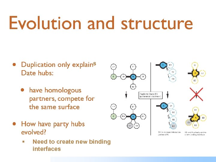 s § Need to create new binding interfaces 