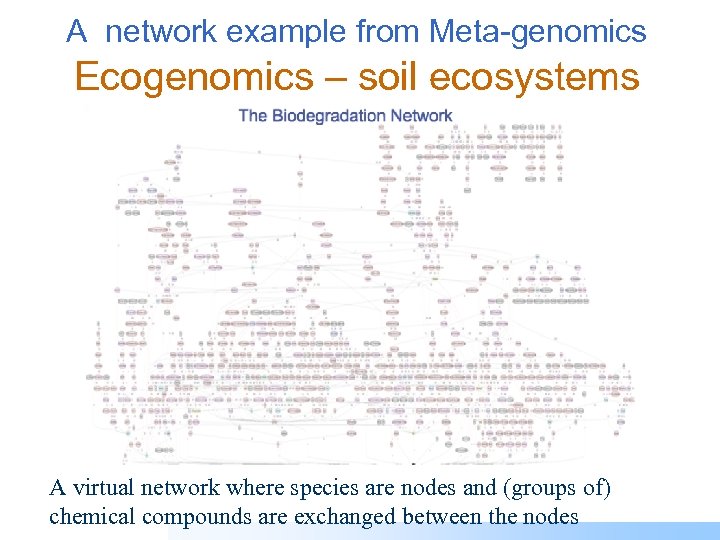 A network example from Meta-genomics Ecogenomics – soil ecosystems A virtual network where species