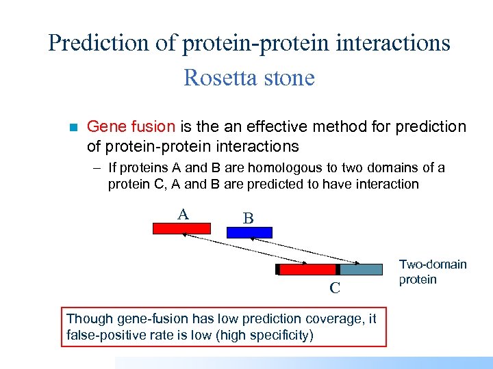 Prediction of protein-protein interactions Rosetta stone n Gene fusion is the an effective method