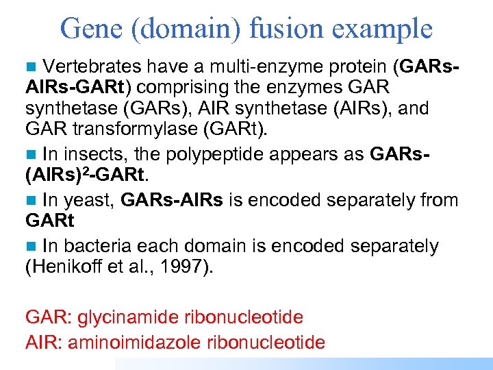 Gene (domain) fusion example n Vertebrates have a multi-enzyme protein (GARs- AIRs-GARt) comprising the