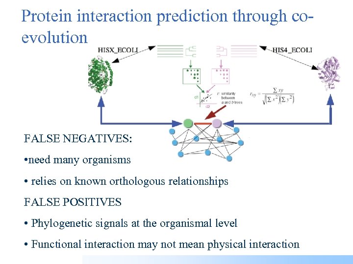 Protein interaction prediction through coevolution FALSE NEGATIVES: • need many organisms • relies on