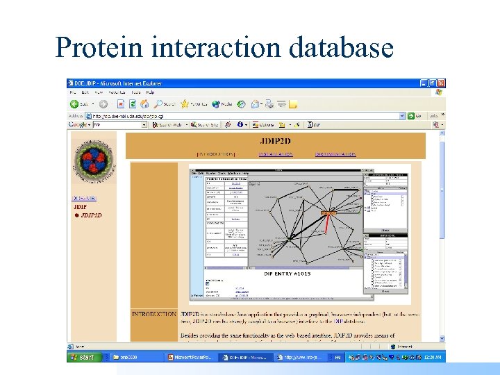 Protein interaction database 