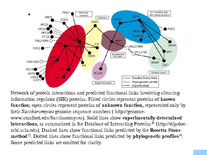 Network of protein interactions and predicted functional links involving silencing information regulator (SIR) proteins.