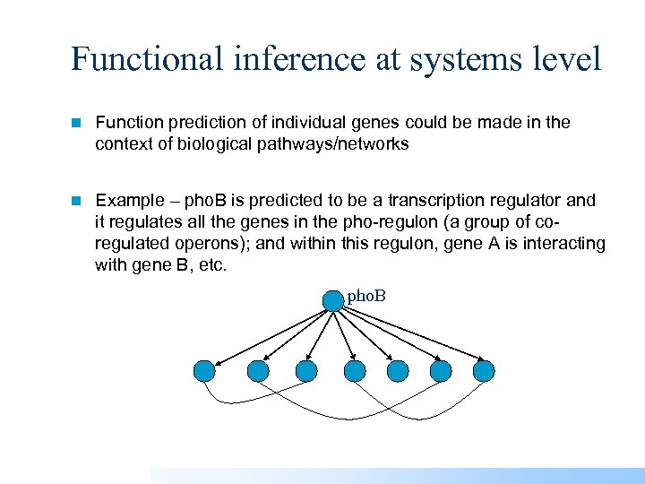 Functional inference at systems level n Function prediction of individual genes could be made
