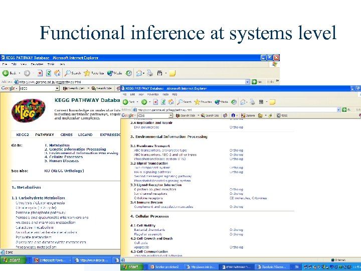 Functional inference at systems level 