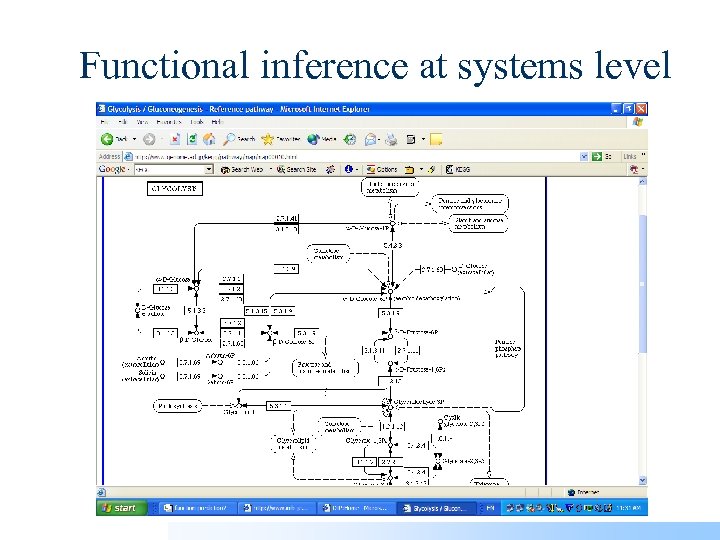Functional inference at systems level 