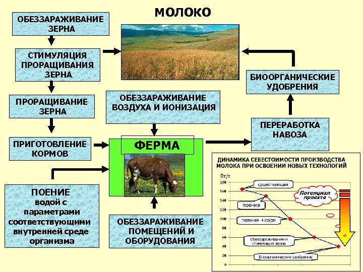 ОБЕЗЗАРАЖИВАНИЕ ЗЕРНА МОЛОКО СТИМУЛЯЦИЯ ПРОРАЩИВАНИЯ ЗЕРНА ПРОРАЩИВАНИЕ ЗЕРНА ПРИГОТОВЛЕНИЕ КОРМОВ БИООРГАНИЧЕСКИЕ УДОБРЕНИЯ ОБЕЗЗАРАЖИВАНИЕ ВОЗДУХА