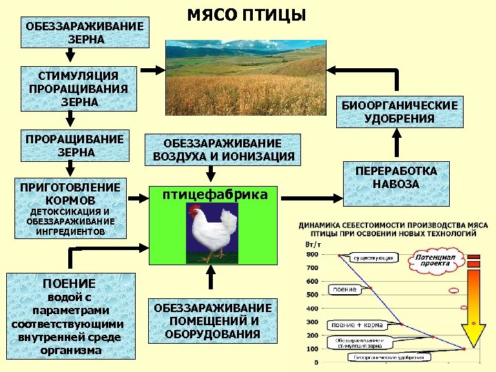 ОБЕЗЗАРАЖИВАНИЕ ЗЕРНА МЯСО ПТИЦЫ СТИМУЛЯЦИЯ ПРОРАЩИВАНИЯ ЗЕРНА ПРОРАЩИВАНИЕ ЗЕРНА ПРИГОТОВЛЕНИЕ КОРМОВ БИООРГАНИЧЕСКИЕ УДОБРЕНИЯ ОБЕЗЗАРАЖИВАНИЕ