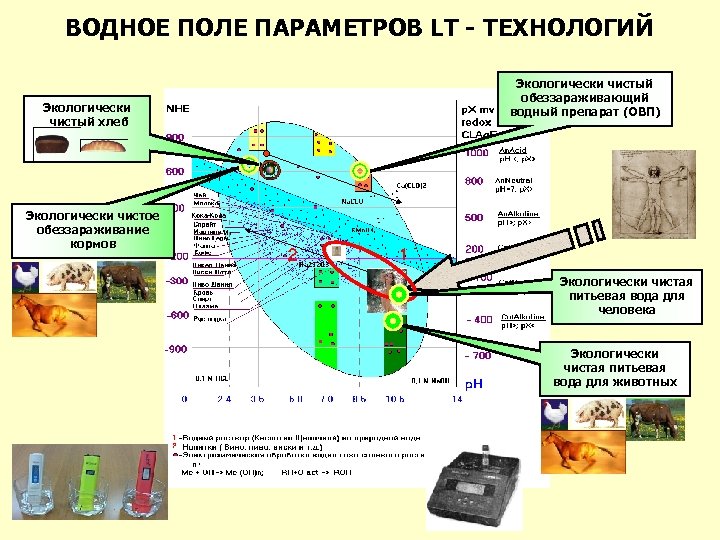 ВОДНОЕ ПОЛЕ ПАРАМЕТРОВ LT - ТЕХНОЛОГИЙ Экологически чистый хлеб Экологически чистый обеззараживающий водный препарат