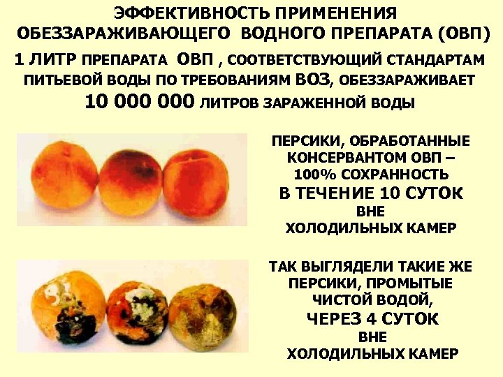  ЭФФЕКТИВНОСТЬ ПРИМЕНЕНИЯ ОБЕЗЗАРАЖИВАЮЩЕГО ВОДНОГО ПРЕПАРАТА (ОВП) 1 ЛИТР ПРЕПАРАТА ОВП , СООТВЕТСТВУЮЩИЙ СТАНДАРТАМ
