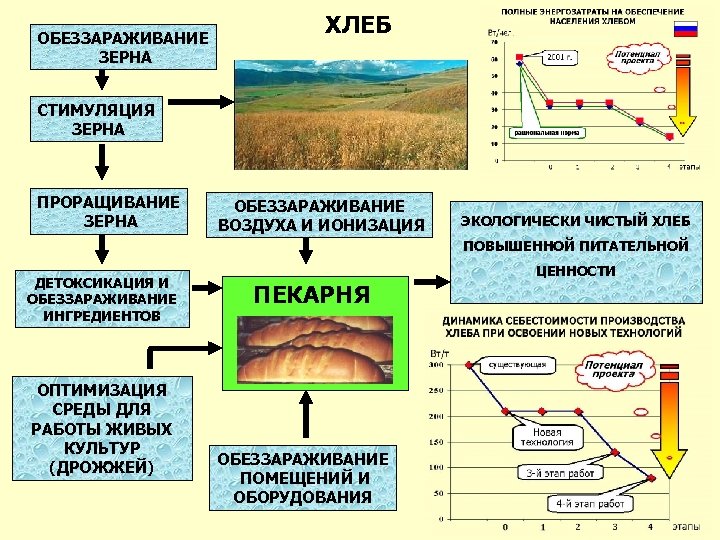 ОБЕЗЗАРАЖИВАНИЕ ЗЕРНА ХЛЕБ СТИМУЛЯЦИЯ ЗЕРНА ПРОРАЩИВАНИЕ ЗЕРНА ОБЕЗЗАРАЖИВАНИЕ ВОЗДУХА И ИОНИЗАЦИЯ ЭКОЛОГИЧЕСКИ ЧИСТЫЙ ХЛЕБ