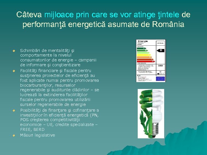 Câteva mijloace prin care se vor atinge ţintele de performanţă energetică asumate de România