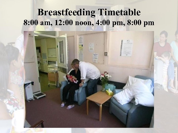 Breastfeeding Timetable 8: 00 am, 12: 00 noon, 4: 00 pm, 8: 00 pm