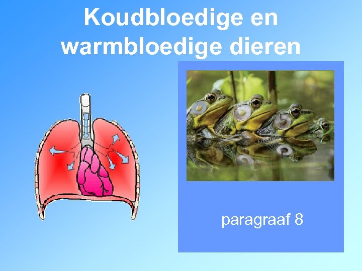 Koudbloedige en warmbloedige dieren paragraaf 8 