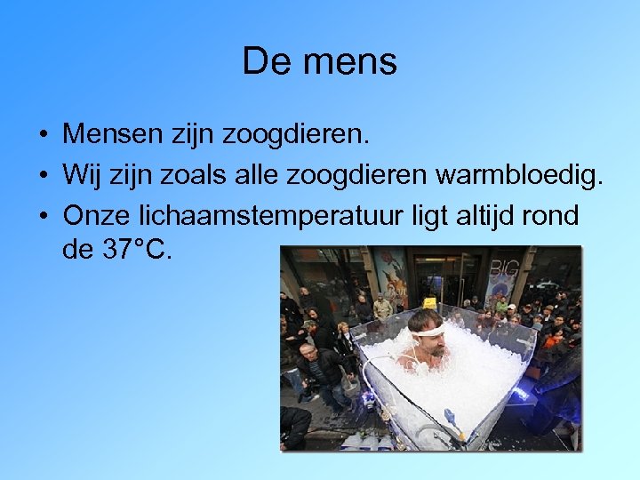 De mens • Mensen zijn zoogdieren. • Wij zijn zoals alle zoogdieren warmbloedig. •