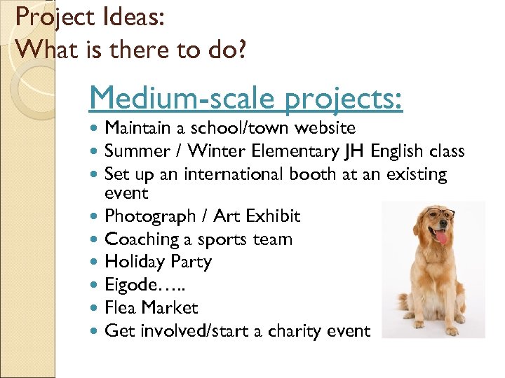 Project Ideas: What is there to do? Medium-scale projects: Maintain a school/town website Summer