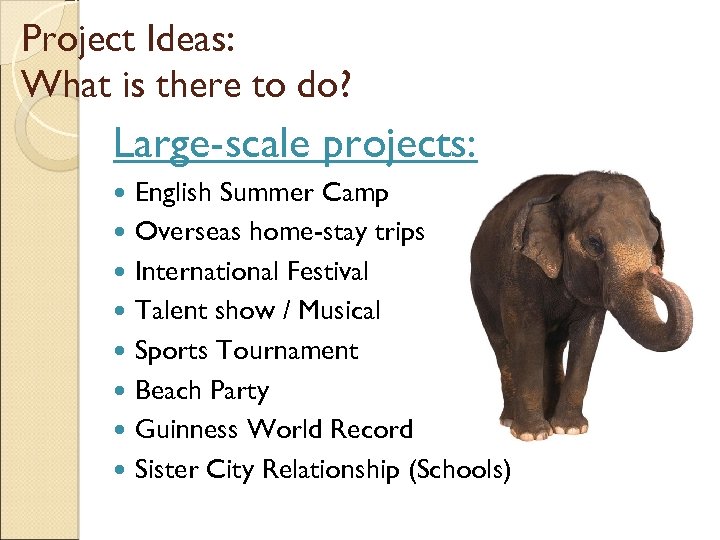 Project Ideas: What is there to do? Large-scale projects: English Summer Camp Overseas home-stay