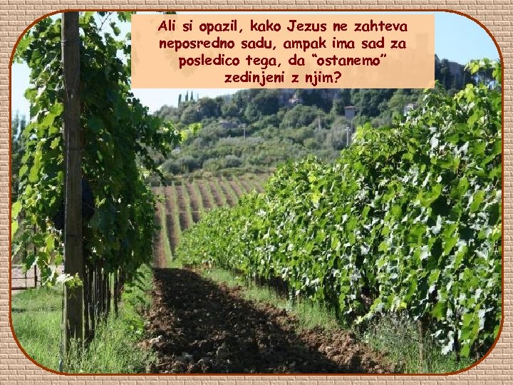 Ali si opazil, kako Jezus ne zahteva neposredno sadu, ampak ima sad za posledico