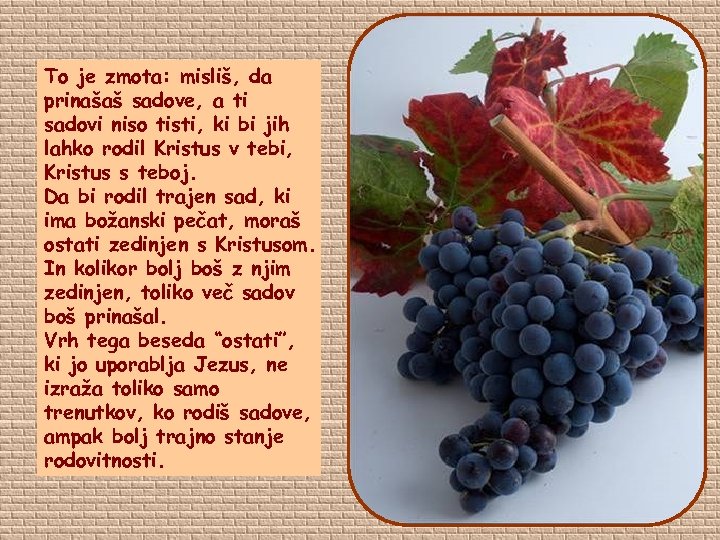 To je zmota: misliš, da prinašaš sadove, a ti sadovi niso tisti, ki bi