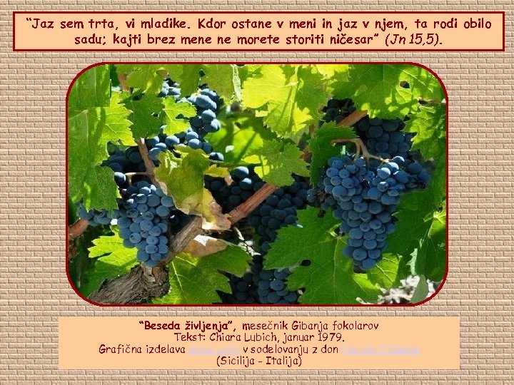 “Jaz sem trta, vi mladike. Kdor ostane v meni in jaz v njem, ta