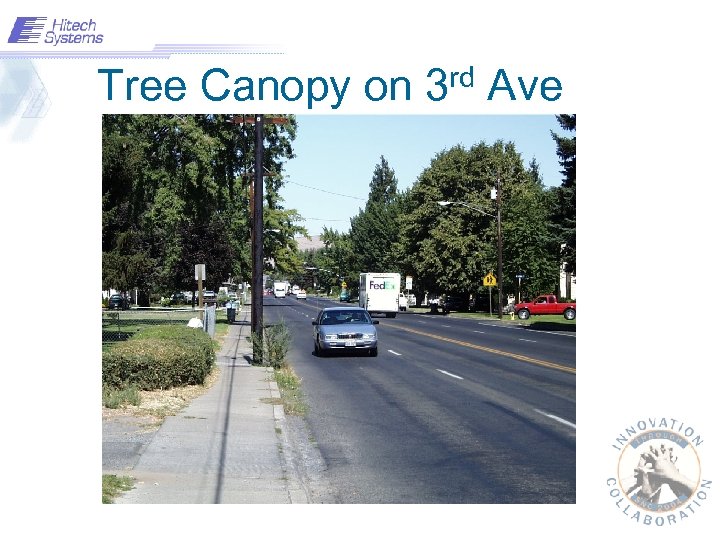 Tree Canopy on rd 3 Ave 