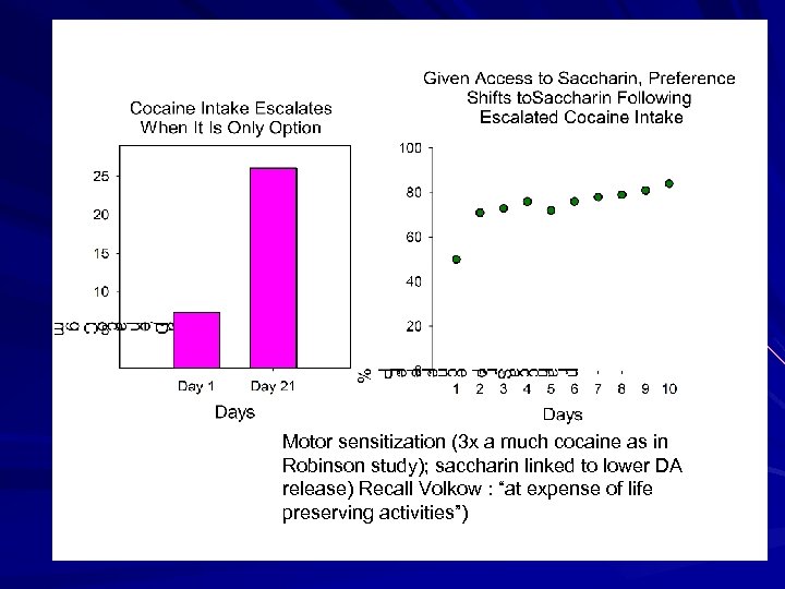 Motor sensitization (3 x a much cocaine as in Perhaps as much as 15