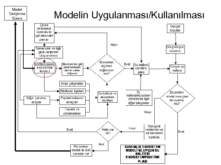 Model Geliştirme Süreci Modelin Uygulanması/Kullanılması 