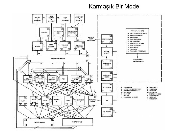 Karmaşık Bir Model CE-QUAL-R 1 