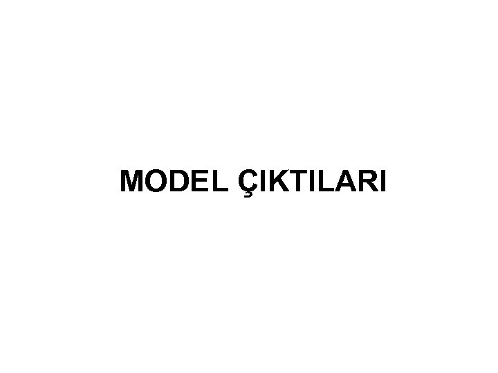 MODEL ÇIKTILARI 