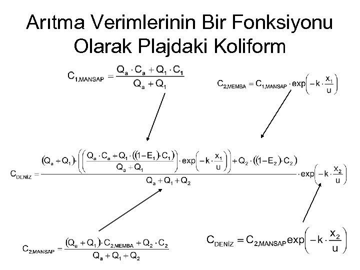 Arıtma Verimlerinin Bir Fonksiyonu Olarak Plajdaki Koliform 