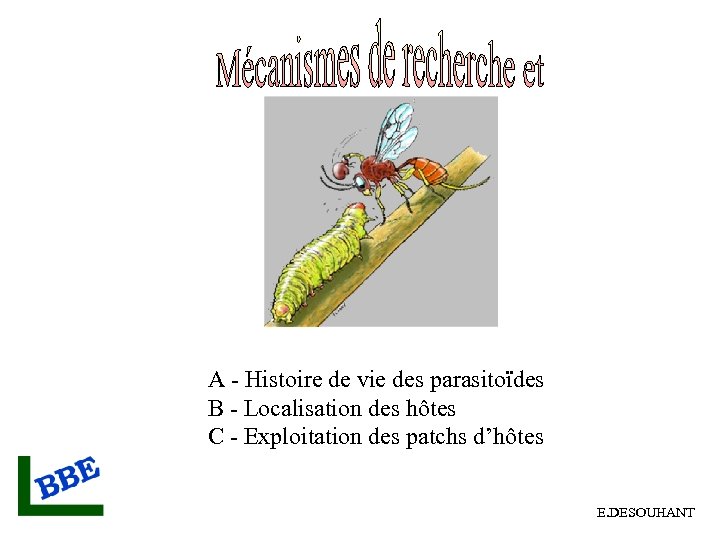 A - Histoire de vie des parasitoïdes B - Localisation des hôtes C -