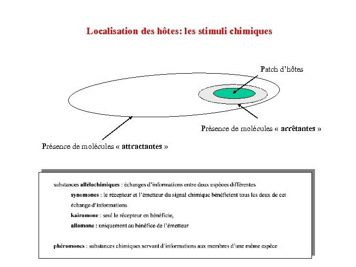 Localisation des hôtes: les stimuli chimiques Patch d’hôtes Présence de molécules « arrêtantes »