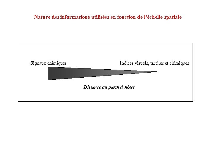 Nature des informations utilisées en fonction de l’échelle spatiale Signaux chimiques Indices visuels, tactiles
