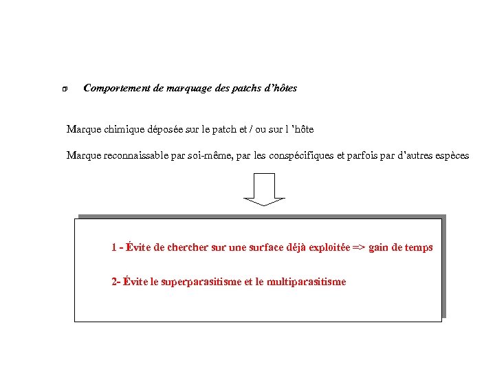 Comportement de marquage des patchs d’hôtes Marque chimique déposée sur le patch et /