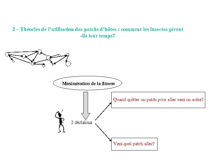 2 – Théories de l’utilisation des patchs d’hôtes : comment les insectes gèrent -ils