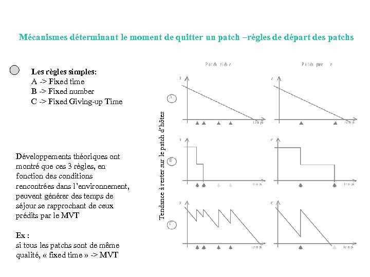 Mécanismes déterminant le moment de quitter un patch –règles de départ des patchs Développements