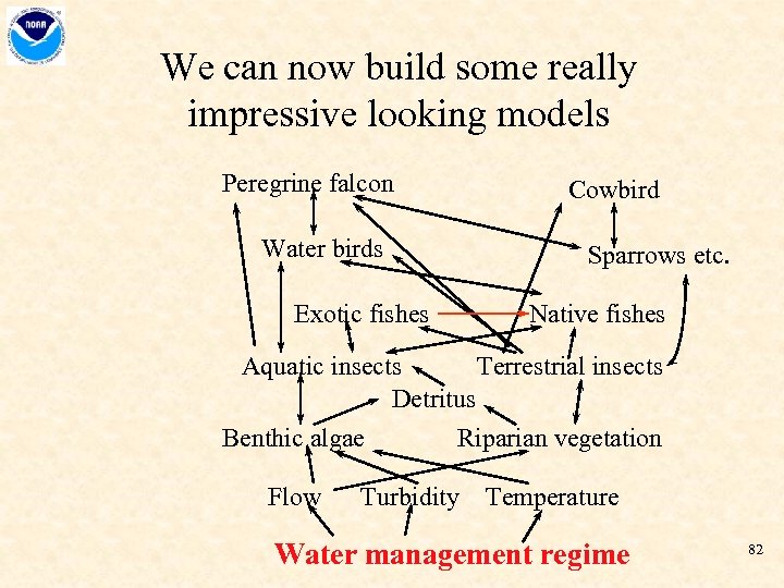 We can now build some really impressive looking models Peregrine falcon Water birds Exotic