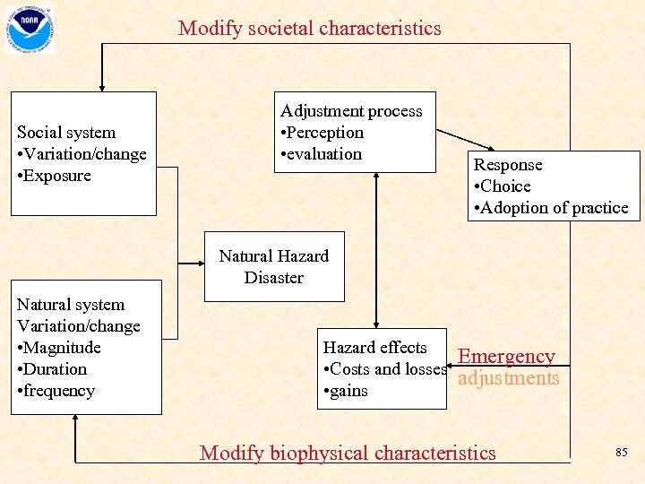 Modify societal characteristics Social system • Variation/change • Exposure Adjustment process • Perception •