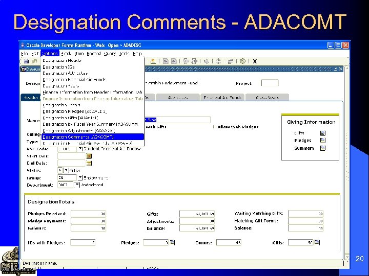 Designation Comments - ADACOMT 20 