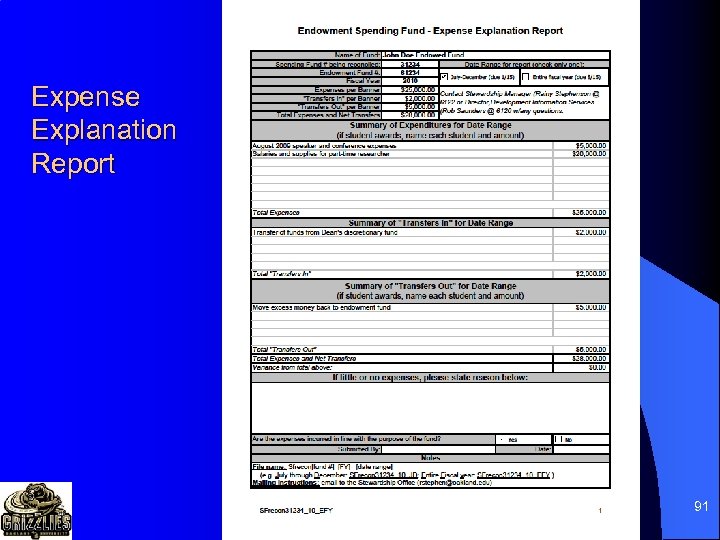 Expense Explanation Report 91 