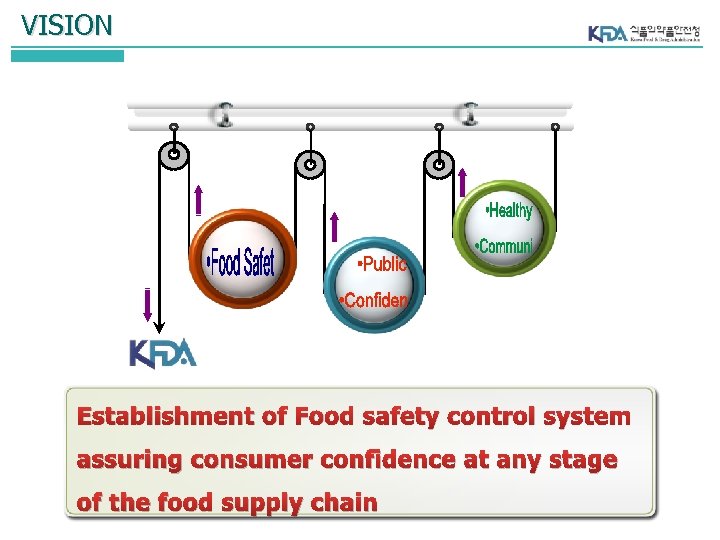 VISION Establishment of Food safety control system assuring consumer confidence at any stage of