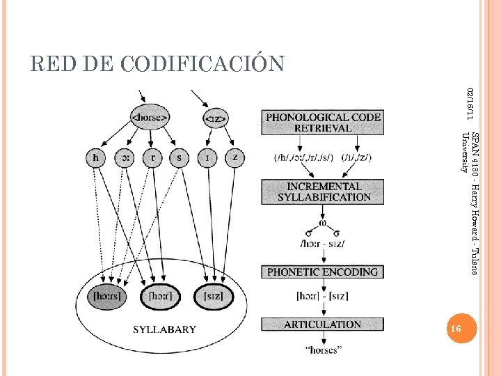 RED DE CODIFICACIÓN 02/16/11 SPAN 4130 - Harry Howard - Tulane University 16 