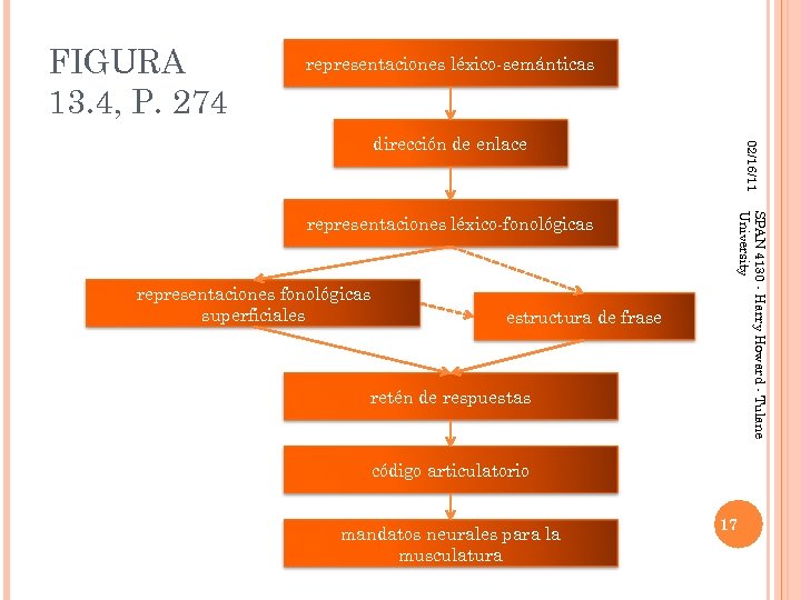 FIGURA 13. 4, P. 274 representaciones léxico-semánticas representaciones fonológicas superficiales estructura de frase retén