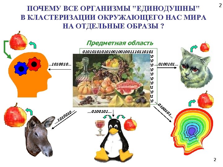2 ПОЧЕМУ ВСЕ ОРГАНИЗМЫ "ЕДИНОДУШНЫ" В КЛАСТЕРИЗАЦИИ ОКРУЖАЮЩЕГО НАС МИРА НА ОТДЕЛЬНЫЕ ОБРАЗЫ ?