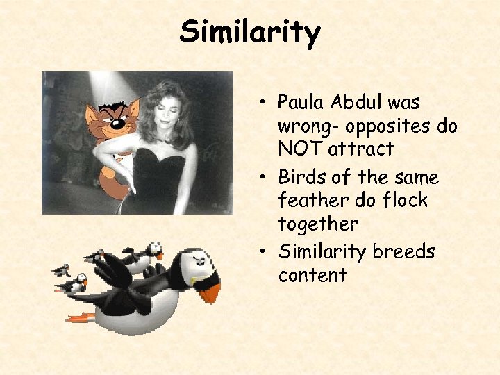 Similarity • Paula Abdul was wrong- opposites do NOT attract • Birds of the