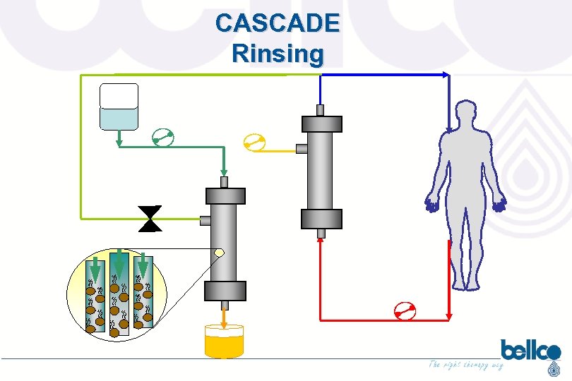 CASCADE Rinsing LIQUIDO DI LAVAGGIO PLASMAFILTRO 