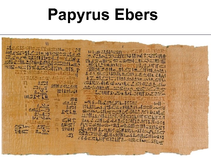 Papyrus Ebers 